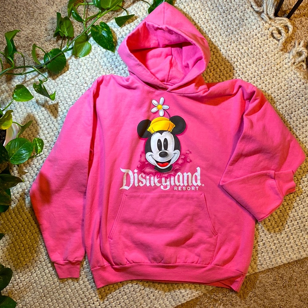 Disney Resort Hoodie